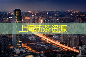 爱上海：女明星身高大揭秘