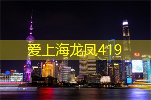 爱上海：上海台的相亲节目叫什么名